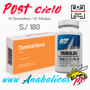 Pastillas de tamoxifeno